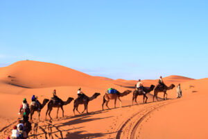 sahara tour