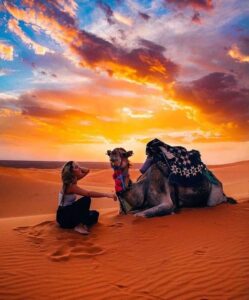 sunset tour